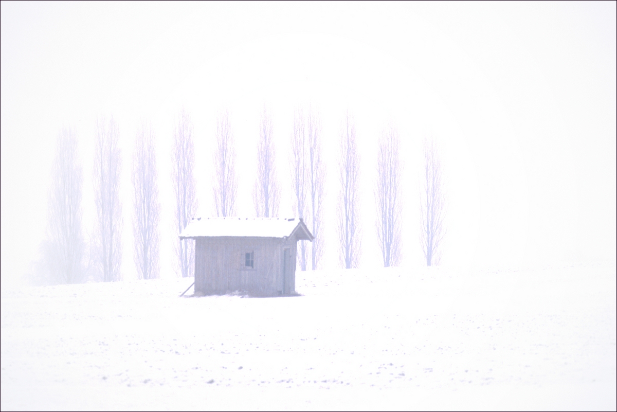 comp Hütte Winter 012