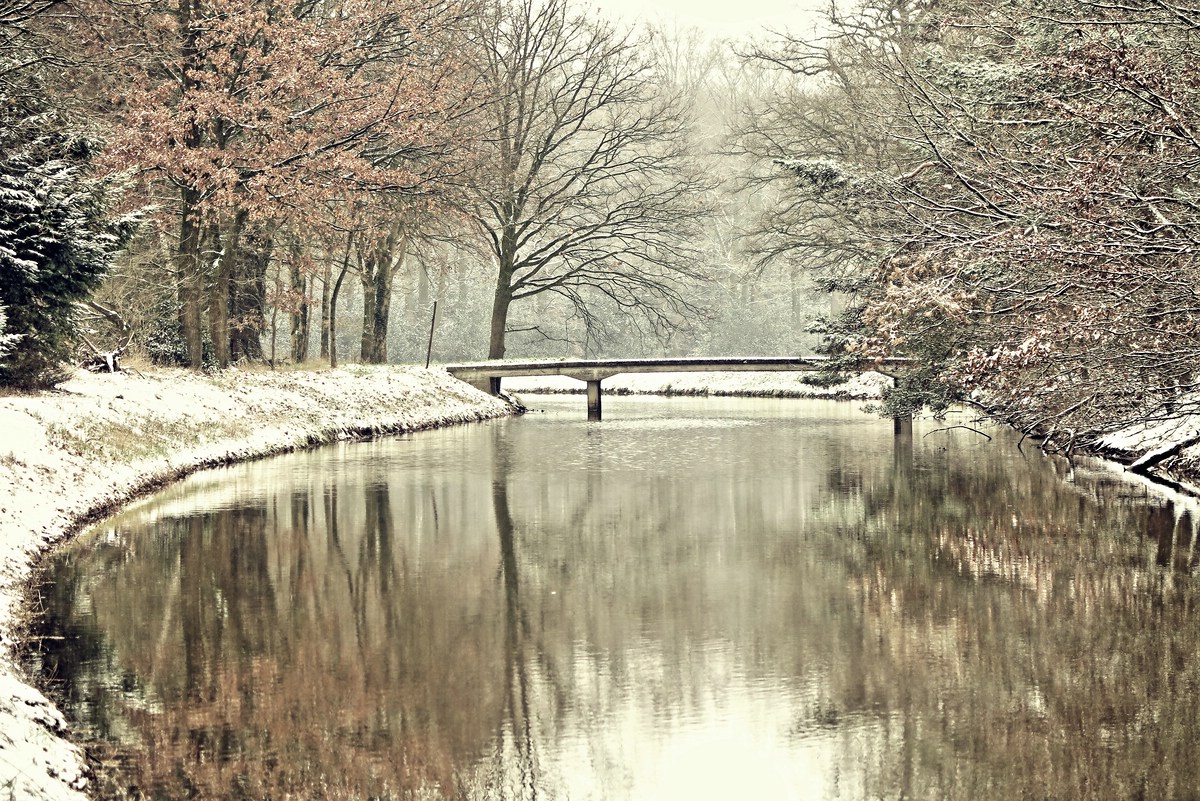 comp hdr4
