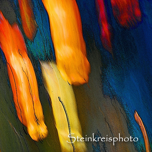 comp Herbstlicht 10 Quadrat
