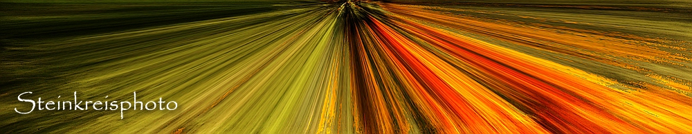 comp Horizonte IV