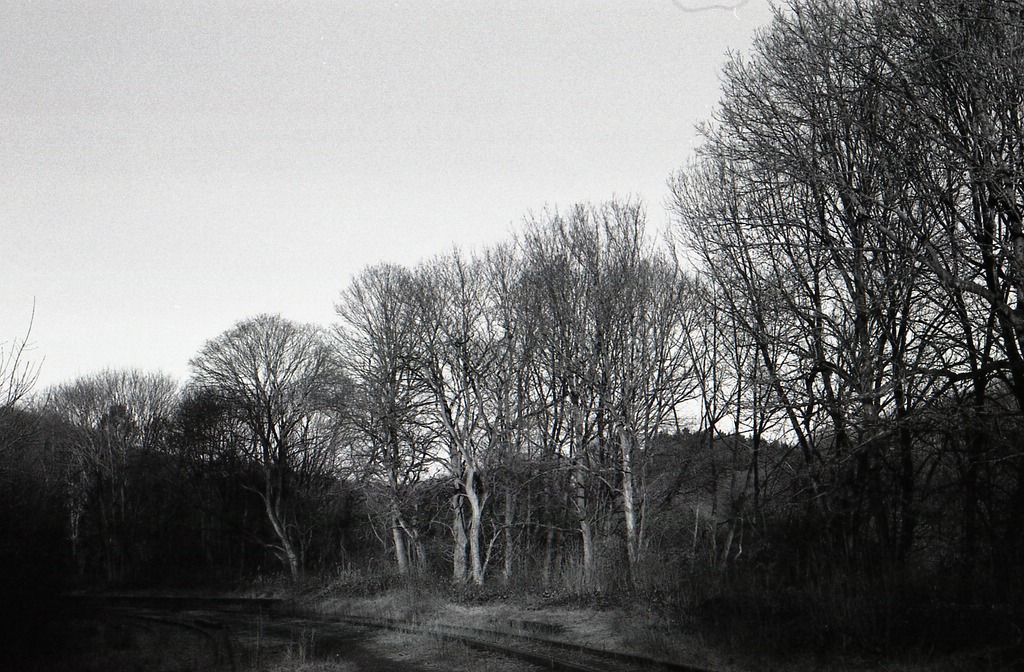 comp img003