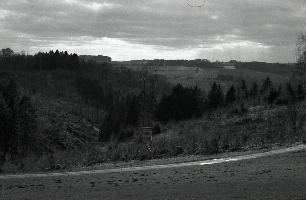 comp img009