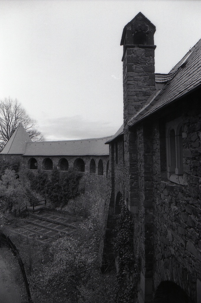comp img101