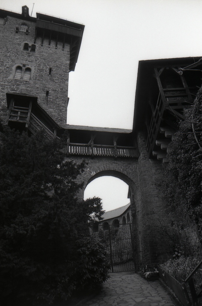 comp img107