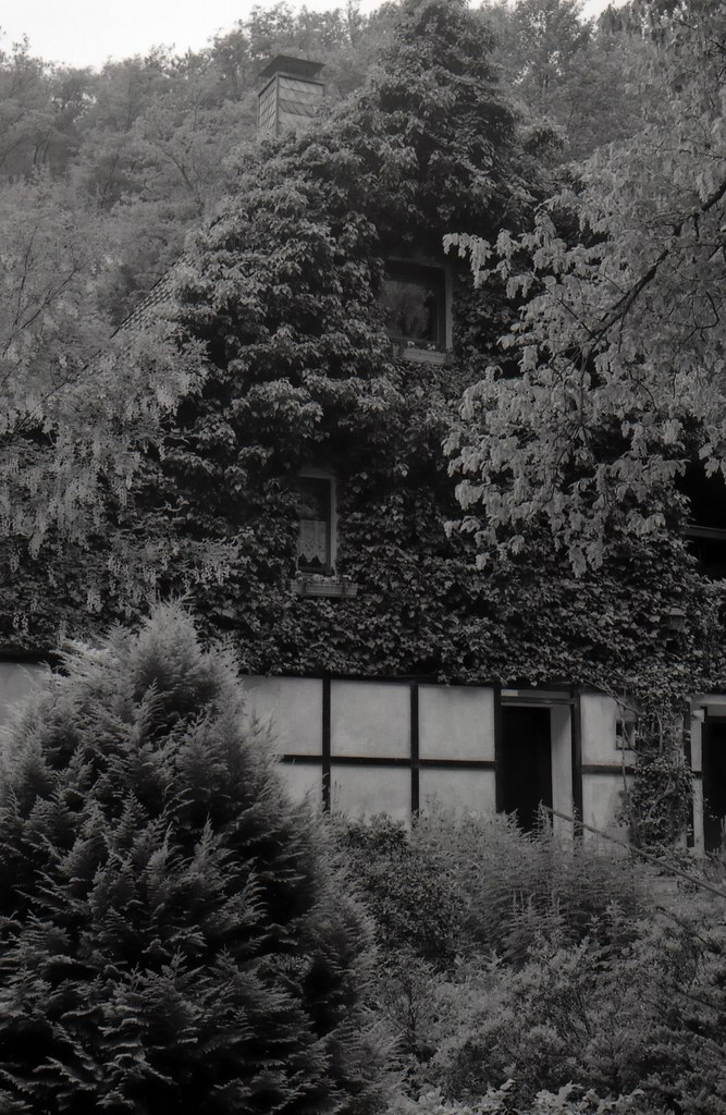 comp img197 bearbeitet