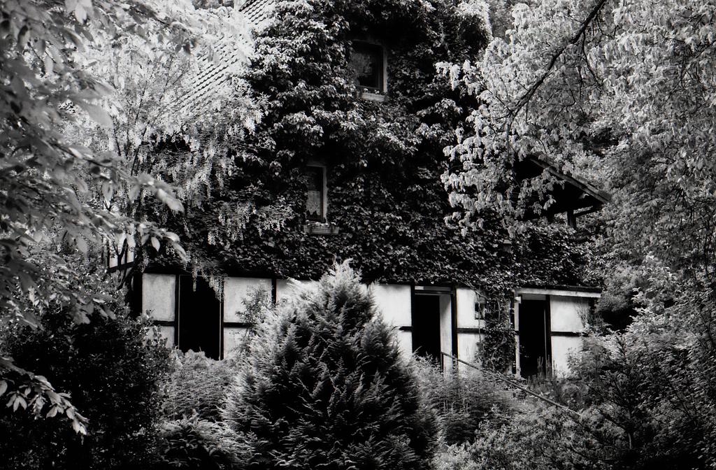 comp img198 bearbeitet