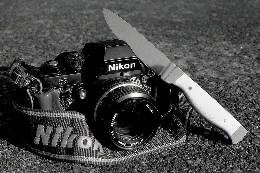 comp img934 bearbeitet

aufgenommen mit der F801 und dem Nikon AF 50mm 1.8 auf  Kodak T-MAX 100
