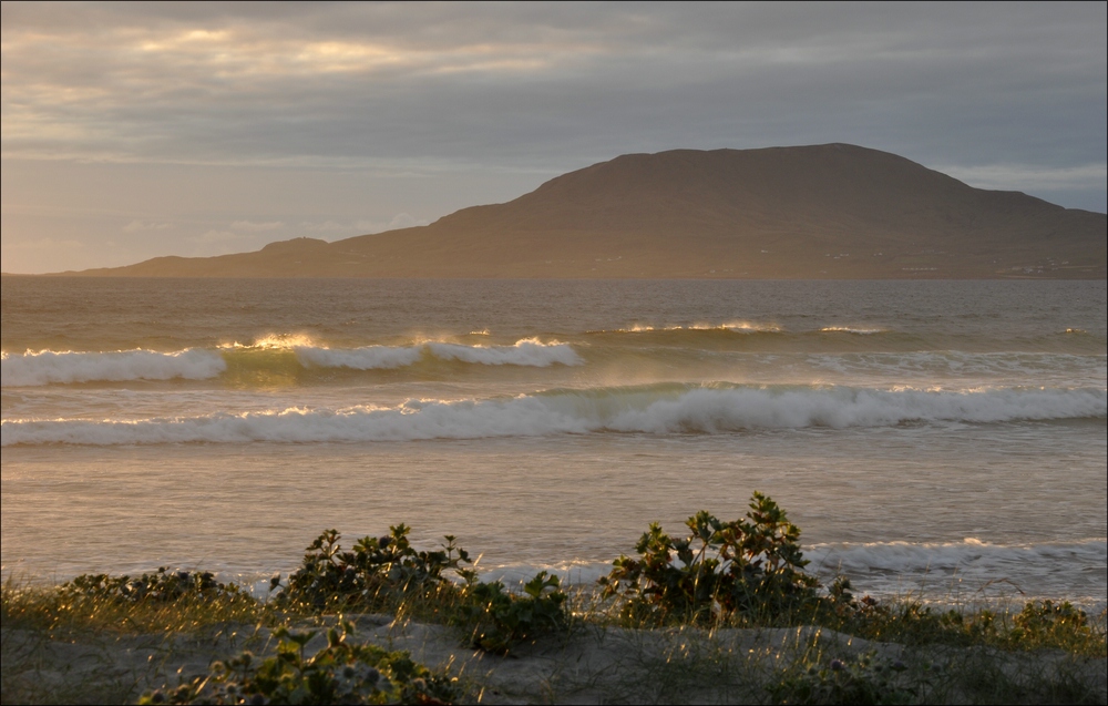 comp Irland2 459b