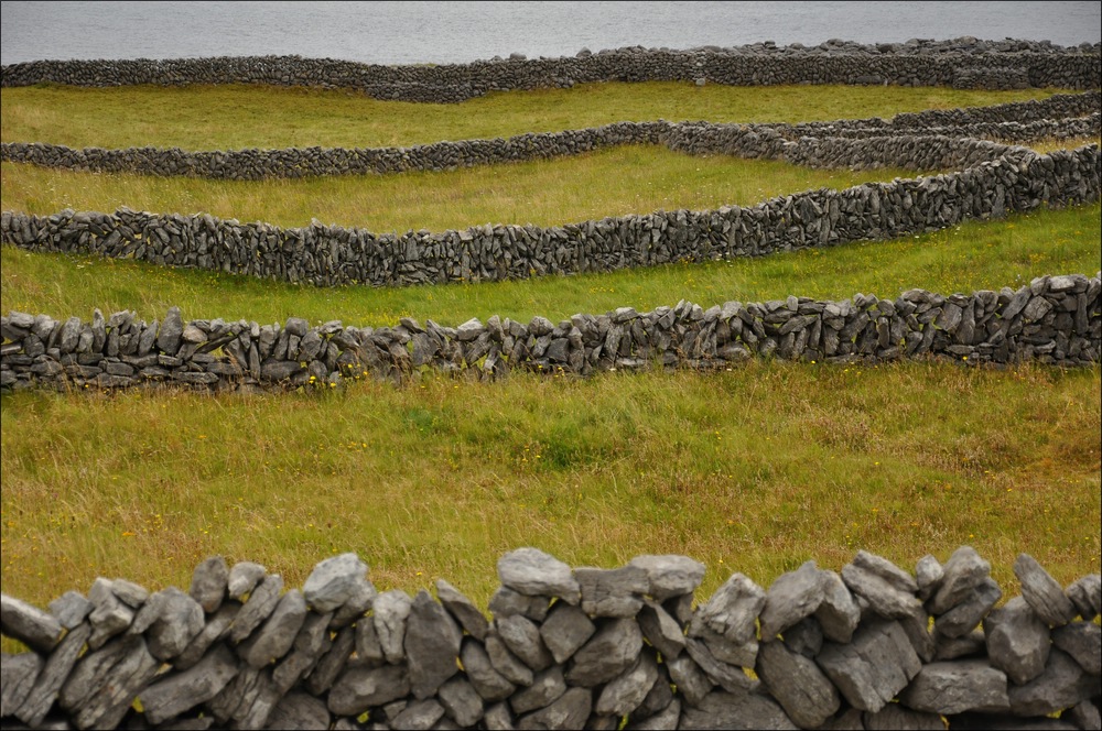 comp Irland3 221b