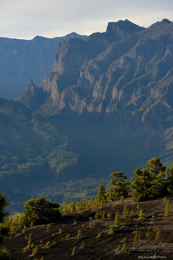 comp Landscape (43)