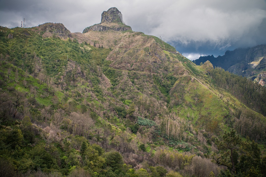 comp Madeira Forum 13 cop (11 von 1)