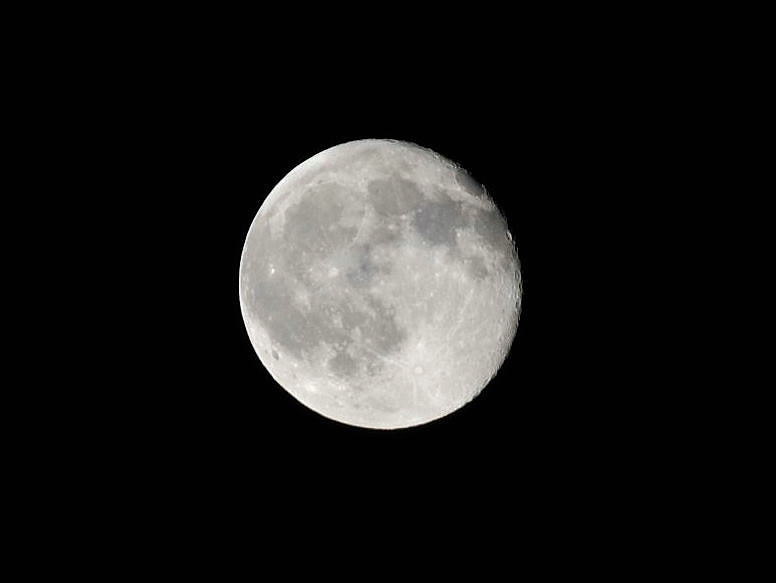 comp Mond1