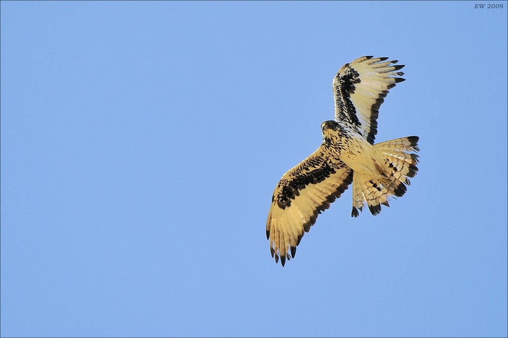 comp Namibia 09 00637