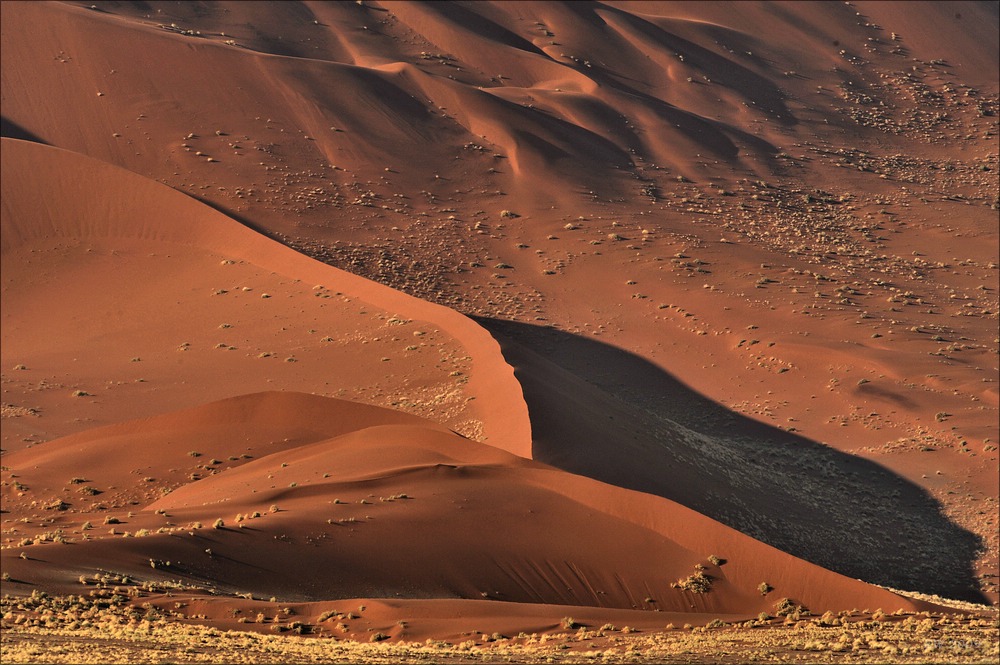 comp Namibia 09 00913