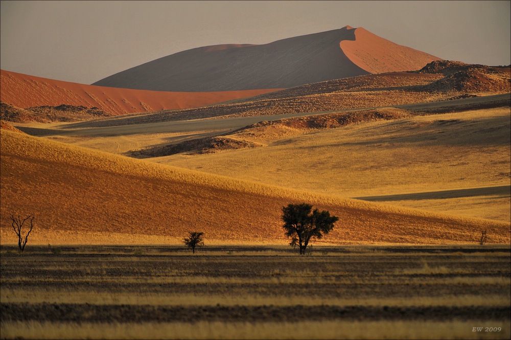 comp Namibia 09 01267