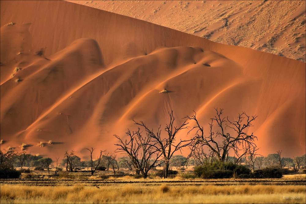 comp Namibia 09 01336