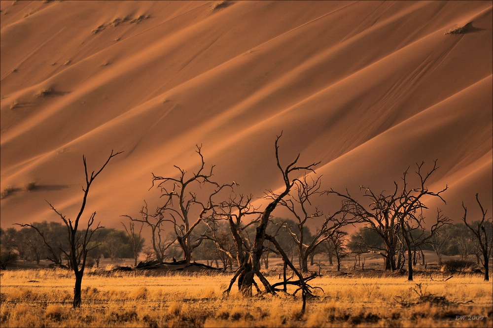 comp Namibia 09 01357