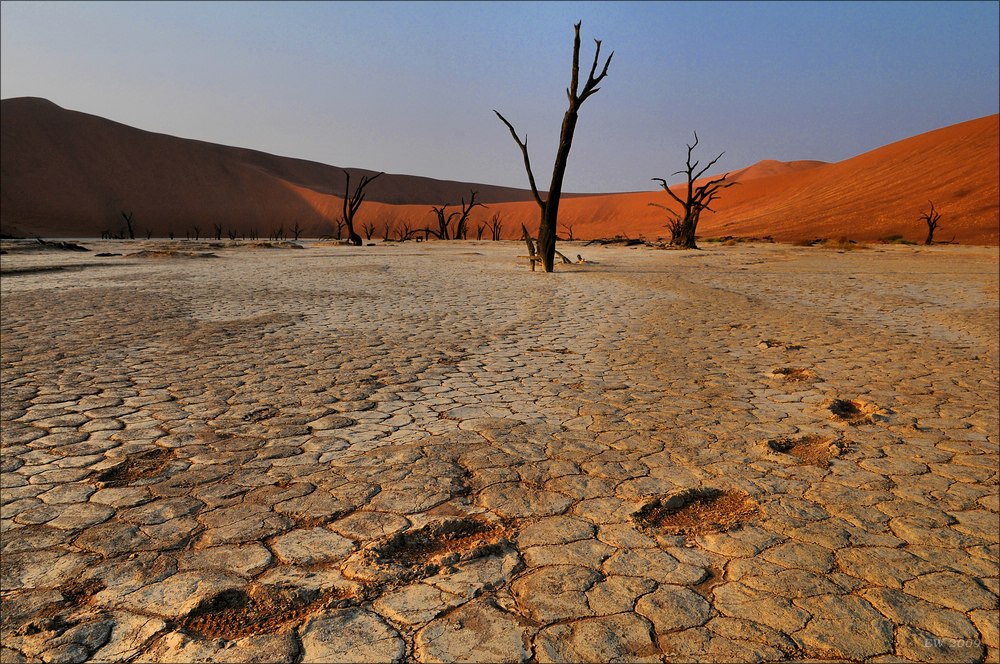 comp Namibia 09 01495
