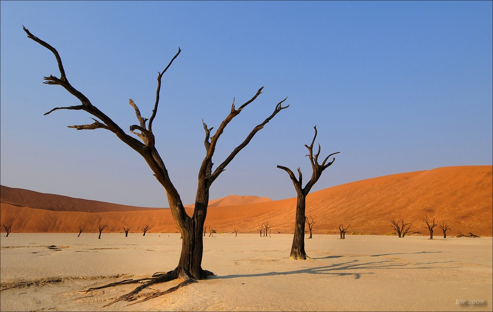comp Namibia 09 01563
