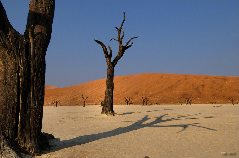comp Namibia 09 01577