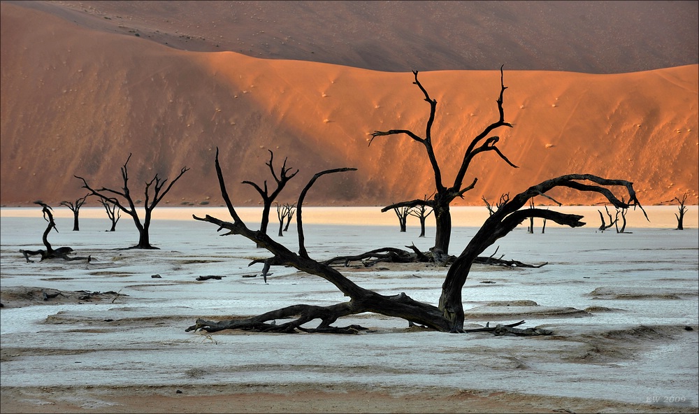 comp Namibia 09 01830