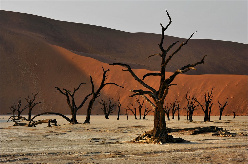 comp Namibia 09 01861