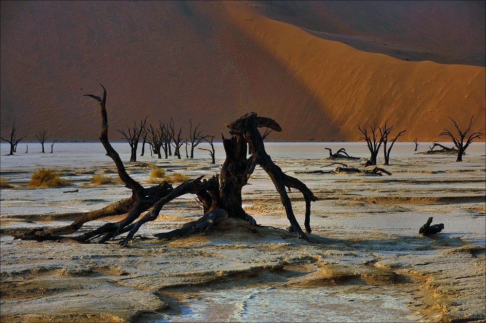 comp Namibia 09 01894a