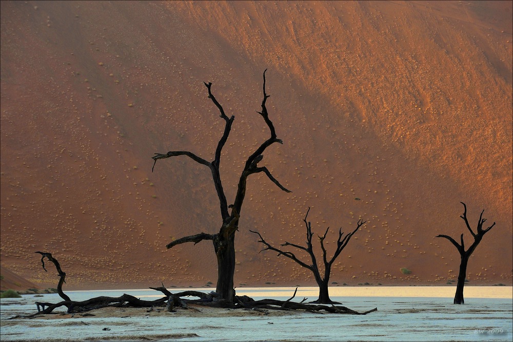 comp Namibia 09 01990