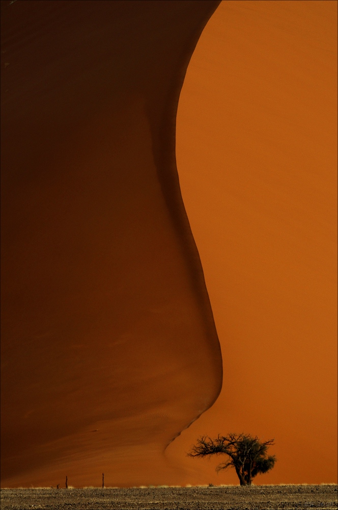 comp Namibia 09 02428a