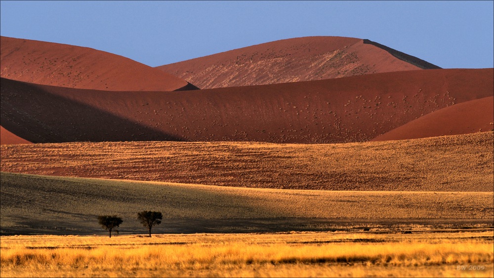 comp Namibia 09 03280