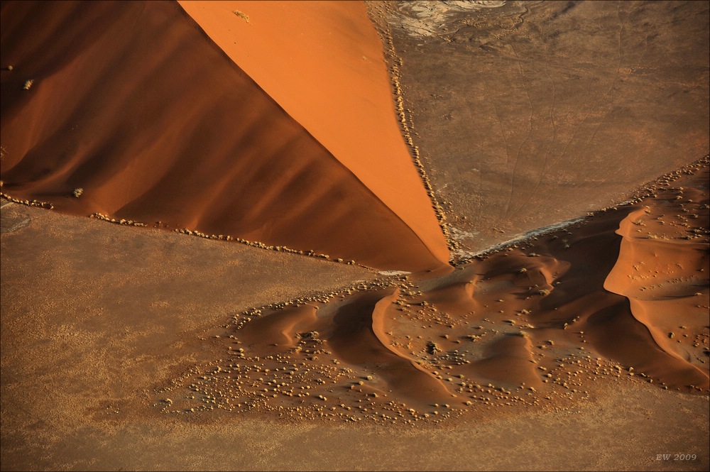 comp Namibia 09 04767
