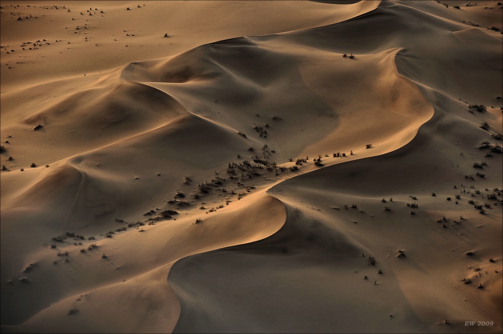 comp Namibia 09 05388