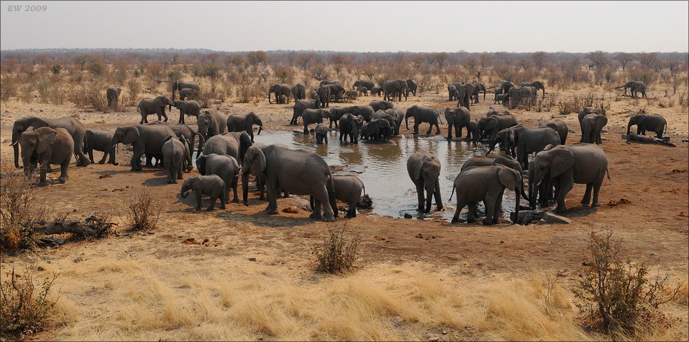 comp Namibia 09 12507