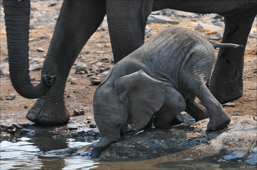 comp Namibia 09 12585