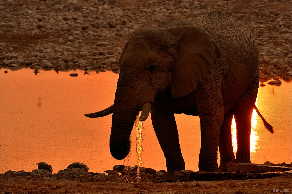 comp Namibia 09 14771