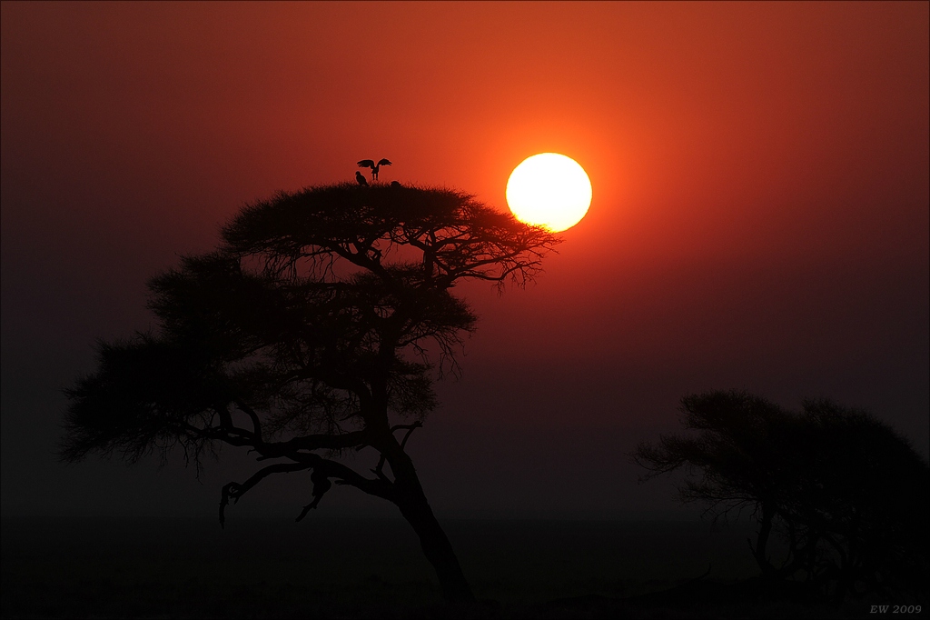 comp Namibia 09 15005