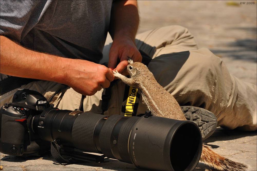 comp Namibia 09 17788