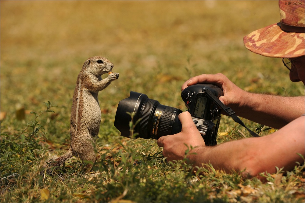 comp Namibia 09 17990