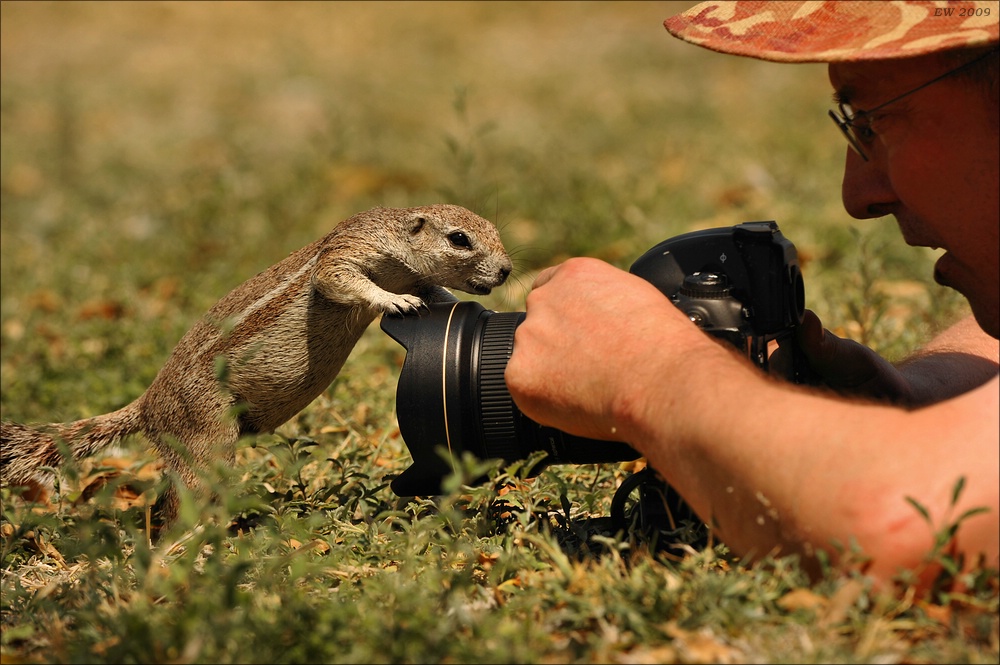 comp Namibia 09 18024