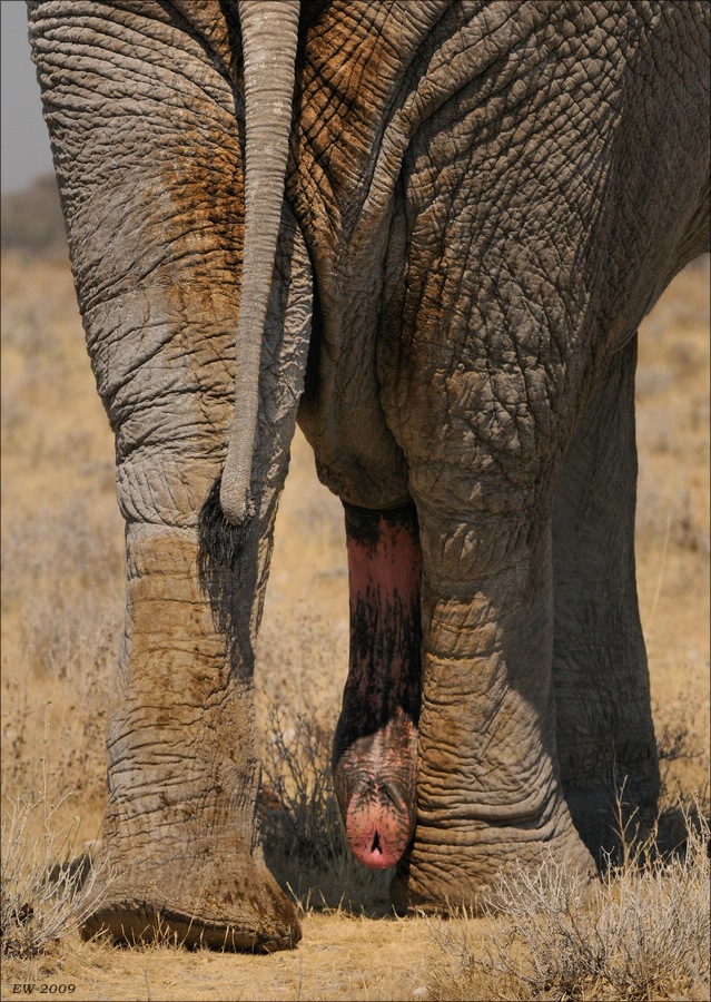 comp Namibia 09 18819