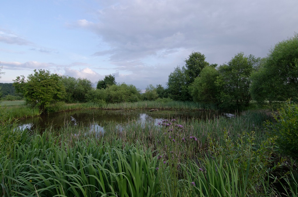 comp Natur 2013 002