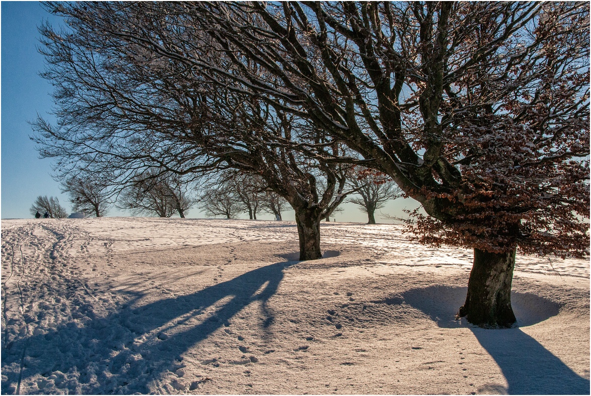 comp Nikon 5781