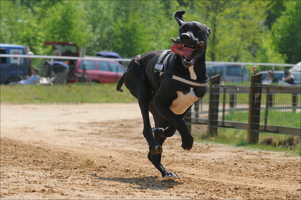 comp NWR Spaßrennen 2456