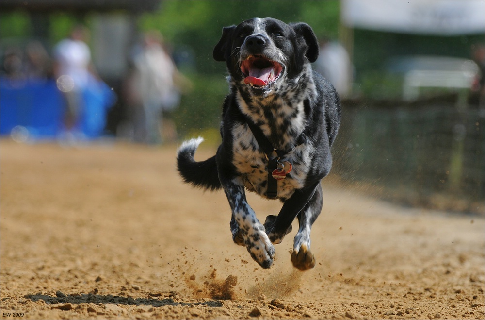 comp NWR Spaßrennen 3008