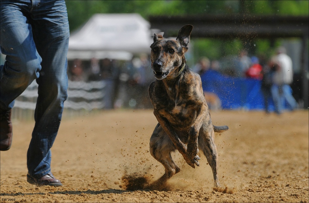 comp NWR Spaßrennen 3115