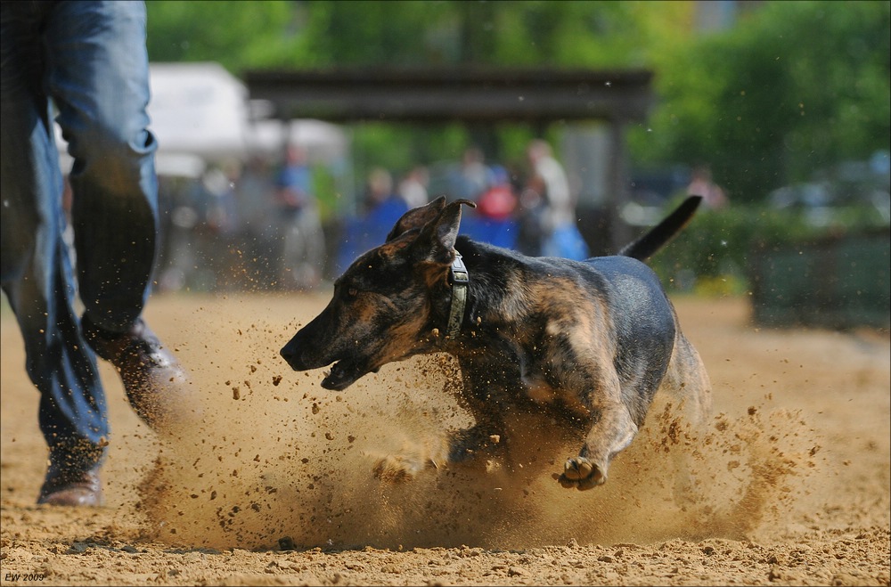 comp NWR Spaßrennen 3118
