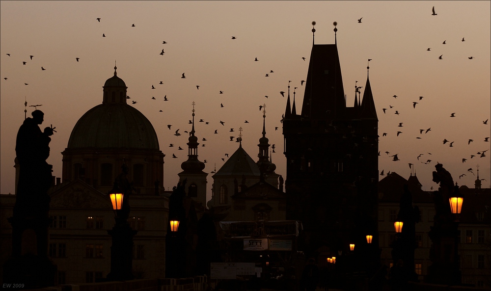 comp Prag 2009 0336aa