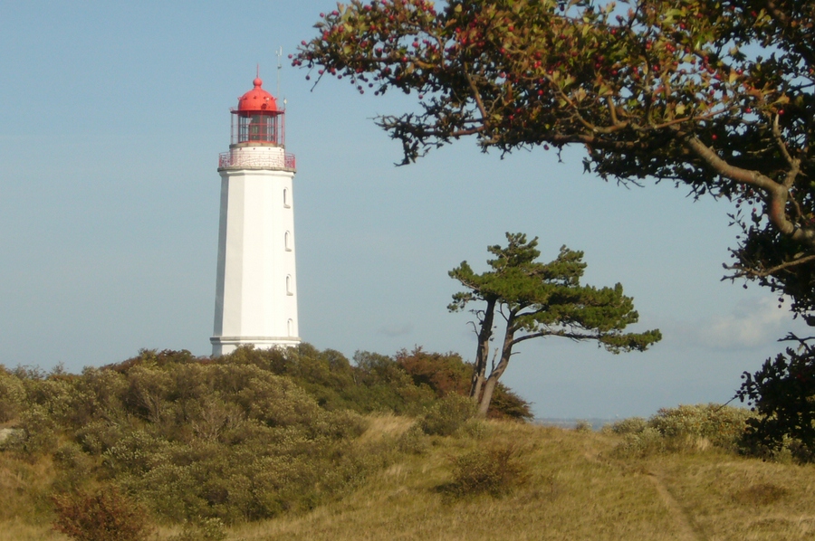 comp Rügen