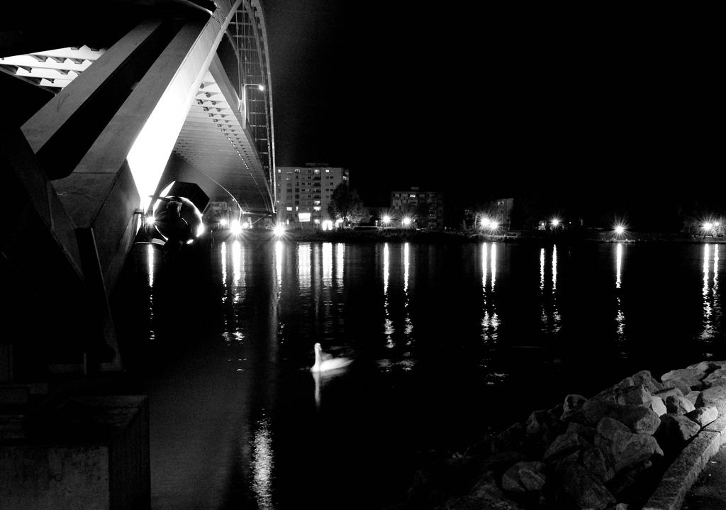 comp Rhein5