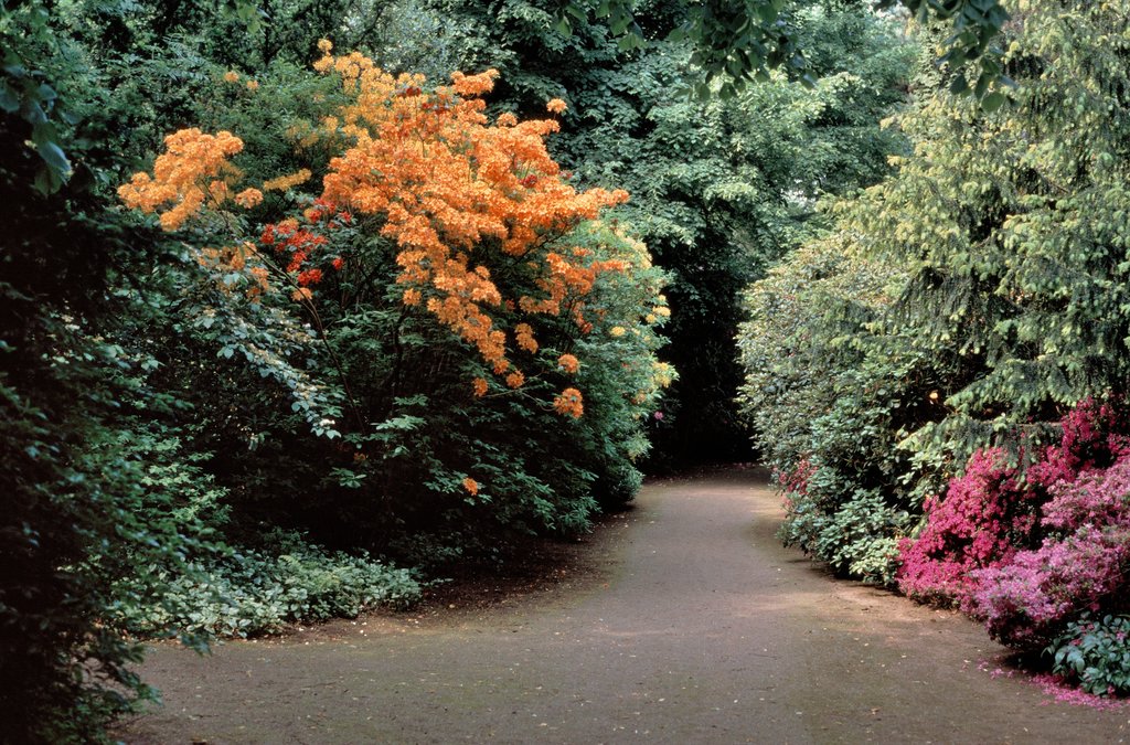 comp Scan 130906 0004 bearbeitet